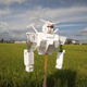 Illustration for article titled The Wild and Wonderful World of Japanese Scarecrows